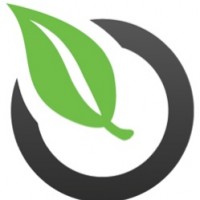 Forest Values and Carbon Markets: Opportunities for MN Image
